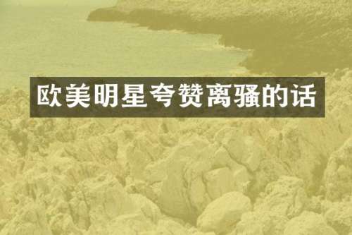 欧美明星夸赞离的话