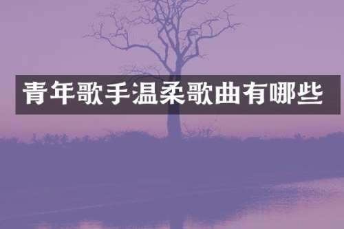 青年歌手温柔歌曲有哪些