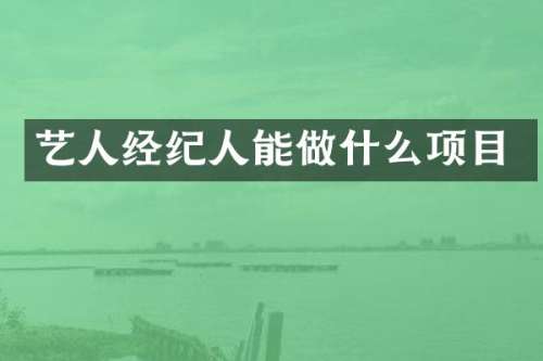 艺人经纪人能做什么项目