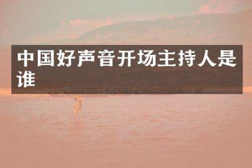 中国好声音开场主持人是谁
