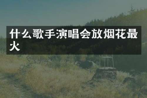 什么歌手演唱会放最火