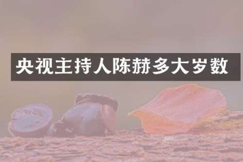 央视主持人陈赫多大岁数