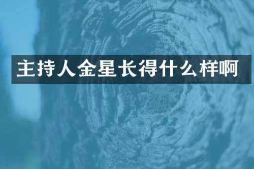主持人金星长得什么样啊
