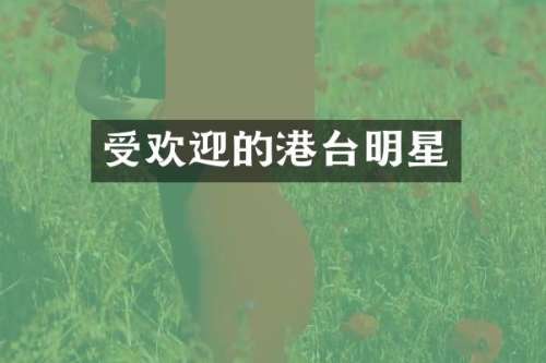 受欢迎的港台明星