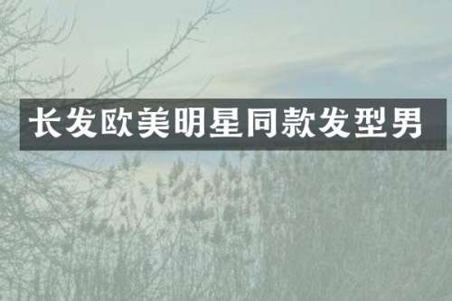 长发欧美明星同款发型男
