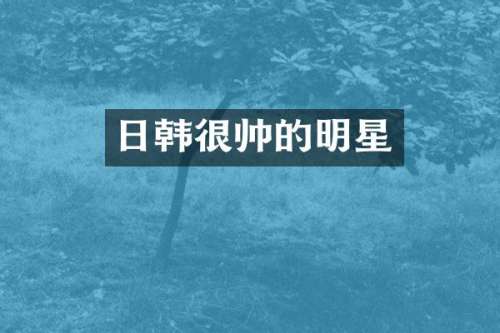 日韩很帅的明星
