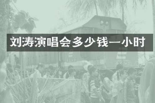 刘涛演唱会多少钱一小时
