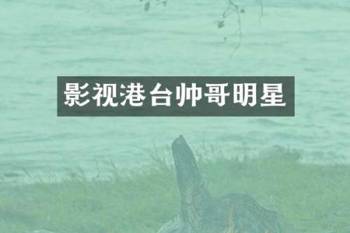 影视港台帅哥明星