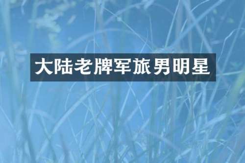 大陆老牌军旅男明星