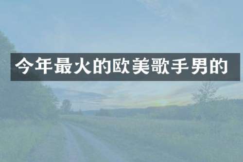 今年最火的欧美歌手男的