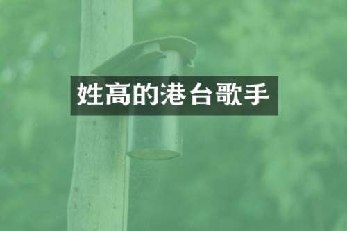 姓高的港台歌手