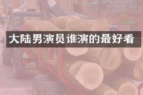 大陆男演员谁演的最好看