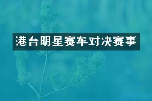 港台明星赛车对决赛事