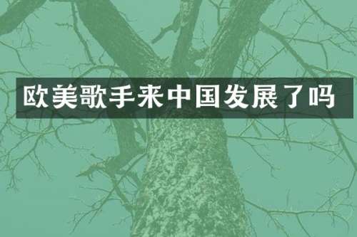 欧美歌手来中国发展了吗