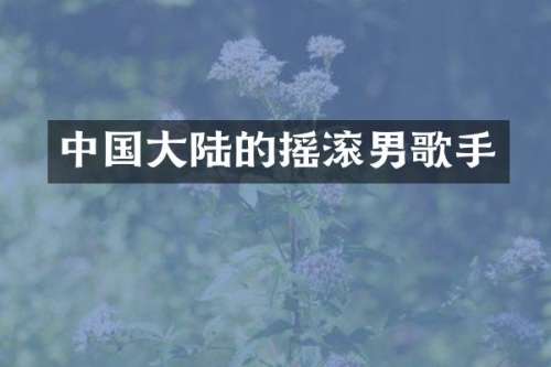 中国大陆的摇滚男歌手