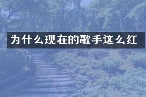 为什么现在的歌手这么红