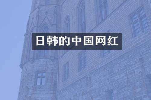 日韩的中国网红