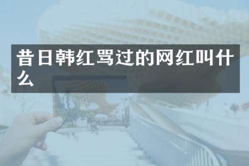 昔日韩红骂过的网红叫什么