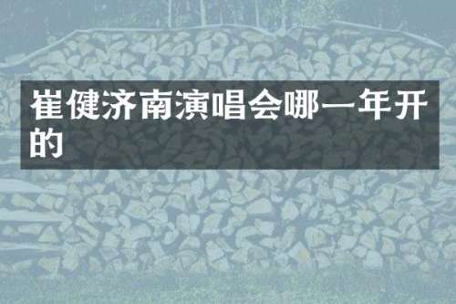 崔健济南演唱会哪一年开的