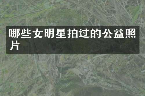 哪些女明星拍过的公益照片