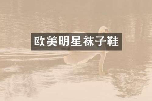 欧美明星袜子鞋