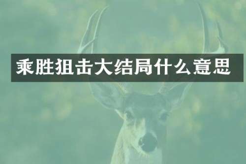乘胜狙击大结局什么意思