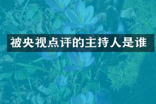 被央视点评的主持人是谁