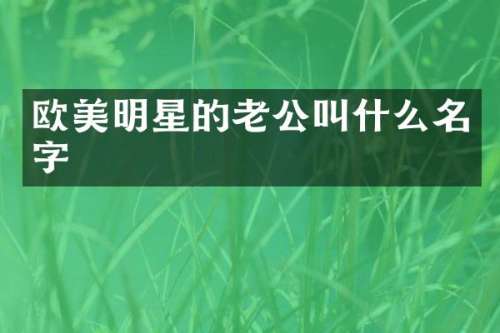 欧美明星的老公叫什么名字