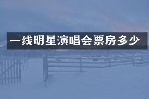 一线明星演唱会票房多少