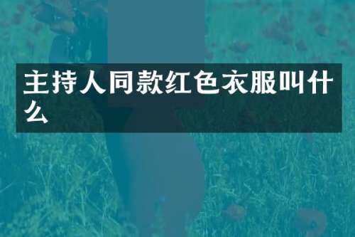 主持人同款红色衣服叫什么