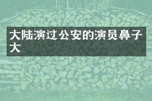 大陆演过公安的演员鼻子大