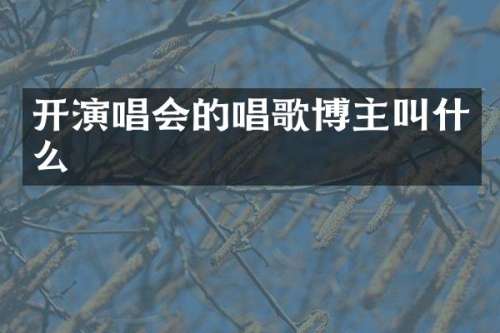 开演唱会的唱歌博主叫什么