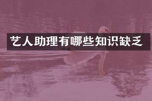 艺人助理有哪些知识缺乏
