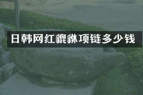 日韩网红貔貅项链多少钱