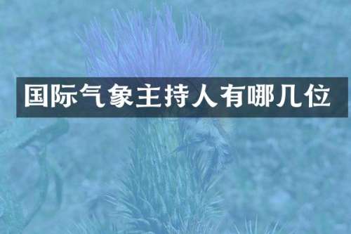国际气象主持人有哪几位