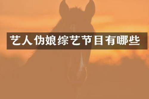 艺人伪娘综艺节目有哪些