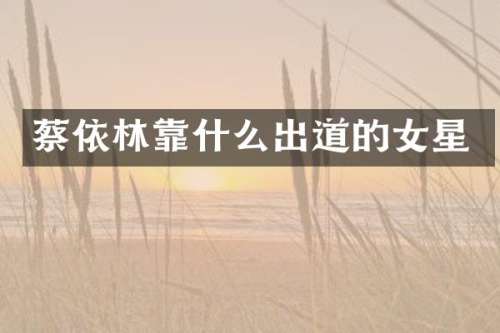 蔡依林靠什么出道的女星
