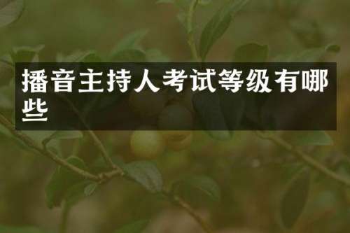 播音主持人考试等级有哪些