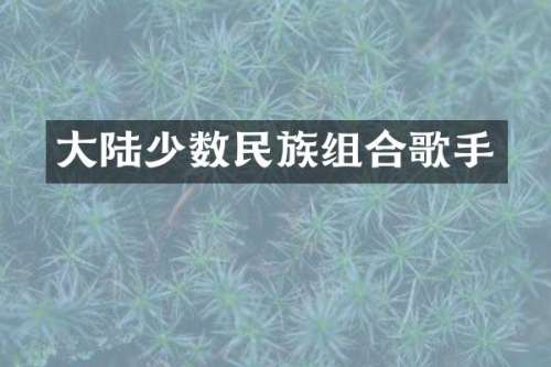 大陆组合歌手