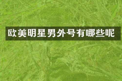 欧美明星男外号有哪些呢