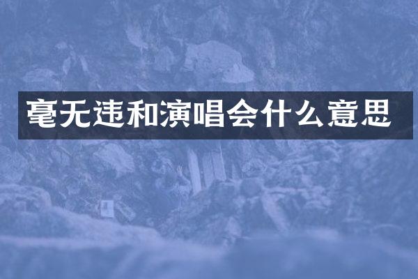 毫无违和演唱会什么意思