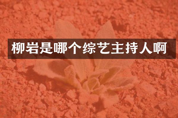 柳岩是哪个综艺主持人啊
