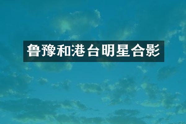 鲁豫和港台明星合影
