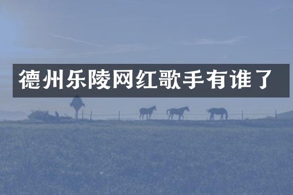 德州乐陵网红歌手有谁了