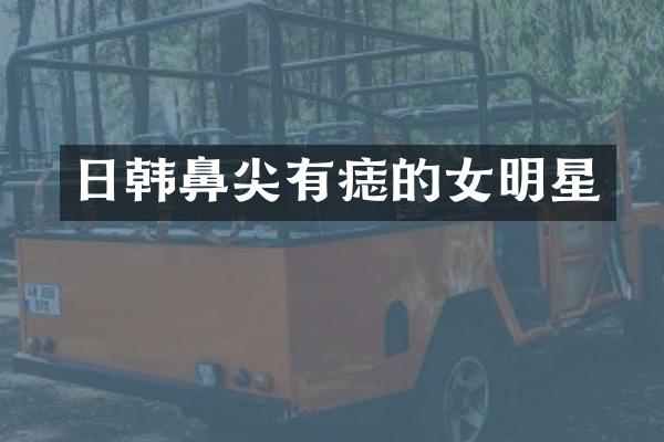 日韩鼻尖有痣的女明星