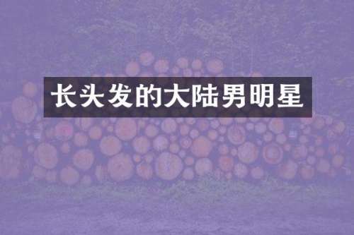 长头发的大陆男明星