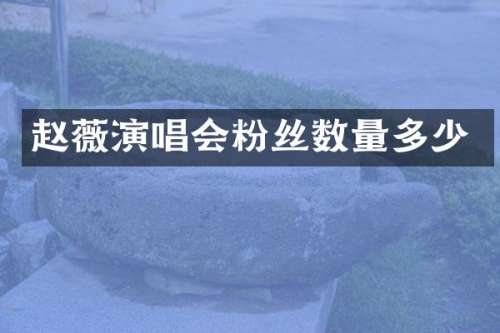 赵薇演唱会粉丝数量多少