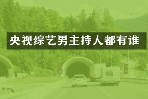 央视综艺男主持人都有谁