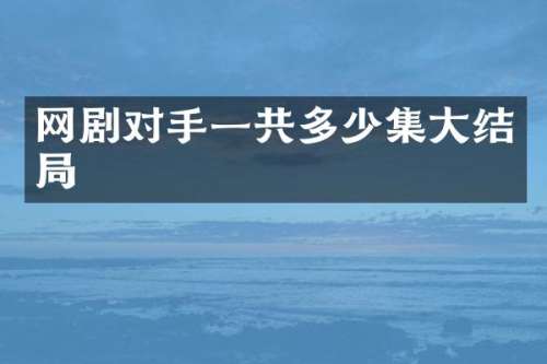 网剧对手一共多少集大结局