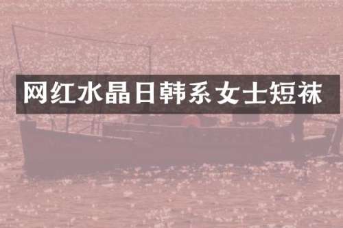网红水晶日韩系女士短袜